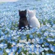 ヒメ日記 2026/04/13 22:09 投稿 りの 千葉中央人妻援護会