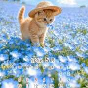 ヒメ日記 2026/05/08 17:49 投稿 りの 千葉中央人妻援護会