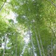 ヒメ日記 2026/05/16 10:49 投稿 りの 千葉中央人妻援護会