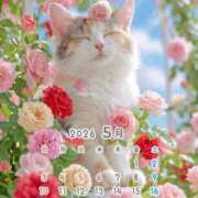 ヒメ日記 2026/05/25 00:39 投稿 りの 千葉中央人妻援護会