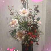 ヒメ日記 2026/06/12 18:41 投稿 りの 千葉中央人妻援護会