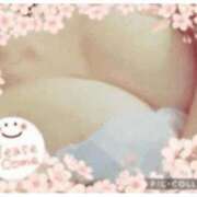 ヒメ日記 2026/06/13 10:41 投稿 りの 千葉中央人妻援護会