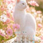 ヒメ日記 2026/09/05 13:22 投稿 りの 千葉中央人妻援護会
