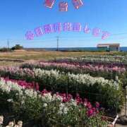 ヒメ日記 2025/03/12 09:14 投稿 沙織 シャトーペトラ