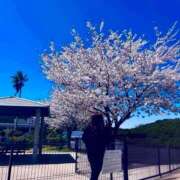 ヒメ日記 2025/04/10 07:53 投稿 沙織 シャトーペトラ