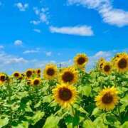 ヒメ日記 2025/08/07 09:09 投稿 沙織 シャトーペトラ