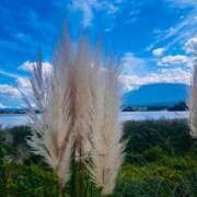 ヒメ日記 2025/10/09 08:43 投稿 沙織 シャトーペトラ