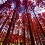 沙織 💕沙織の艶色日記💕 シャトーペトラ