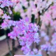 ヒメ日記 2026/03/22 21:32 投稿 沙織 シャトーペトラ