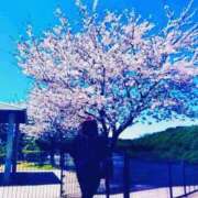 沙織 💕4月2週目までの予定💕 シャトーペトラ