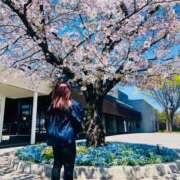 ヒメ日記 2026/04/08 23:40 投稿 沙織 シャトーペトラ