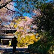 ヒメ日記 2026/04/12 21:15 投稿 沙織 シャトーペトラ