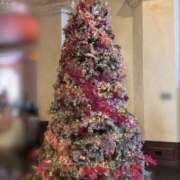 ヒメ日記 2025/12/25 14:36 投稿 詩音 シャトーペトラ