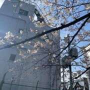 ヒメ日記 2026/03/27 09:02 投稿 詩音 シャトーペトラ