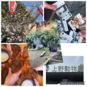 ヒメ日記 2026/04/10 11:23 投稿 詩音 シャトーペトラ