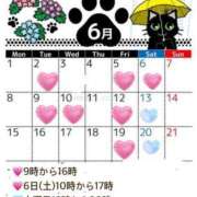 ヒメ日記 2026/06/03 20:21 投稿 詩音 シャトーペトラ