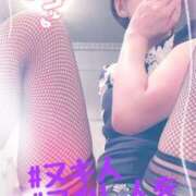 ヒメ日記 2024/12/10 17:04 投稿 進藤 シャトーペトラ