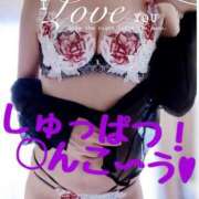 ヒメ日記 2024/12/20 17:04 投稿 進藤 シャトーペトラ