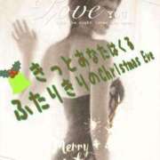 ヒメ日記 2024/12/24 05:30 投稿 進藤 シャトーペトラ