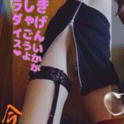 ヒメ日記 2025/01/15 05:57 投稿 進藤 シャトーペトラ