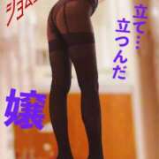 ヒメ日記 2025/01/15 16:14 投稿 進藤 シャトーペトラ