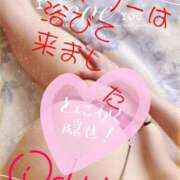 ヒメ日記 2025/01/17 17:05 投稿 進藤 シャトーペトラ