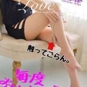 ヒメ日記 2025/02/10 23:17 投稿 進藤 シャトーペトラ