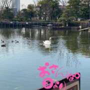 ヒメ日記 2025/02/12 11:03 投稿 進藤 シャトーペトラ