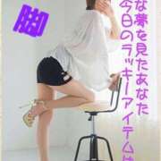 ヒメ日記 2025/03/12 08:28 投稿 進藤 シャトーペトラ