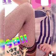 ヒメ日記 2025/03/13 06:30 投稿 進藤 シャトーペトラ