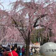 ヒメ日記 2025/03/24 16:06 投稿 進藤 シャトーペトラ