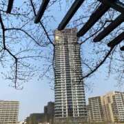 ヒメ日記 2025/03/26 14:59 投稿 進藤 シャトーペトラ