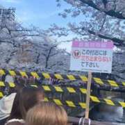 ヒメ日記 2025/03/30 18:34 投稿 進藤 シャトーペトラ