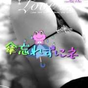 ヒメ日記 2025/04/03 16:29 投稿 進藤 シャトーペトラ