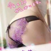 ヒメ日記 2025/04/08 05:29 投稿 進藤 シャトーペトラ