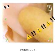 ヒメ日記 2025/04/09 11:31 投稿 進藤 シャトーペトラ