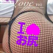 ヒメ日記 2025/04/11 07:28 投稿 進藤 シャトーペトラ