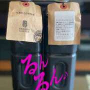 ヒメ日記 2025/04/12 08:31 投稿 進藤 シャトーペトラ