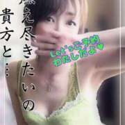 ヒメ日記 2025/04/20 09:12 投稿 進藤 シャトーペトラ