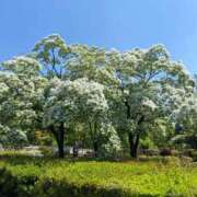 ヒメ日記 2025/04/28 08:57 投稿 進藤 シャトーペトラ