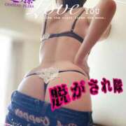 ヒメ日記 2025/04/29 06:08 投稿 進藤 シャトーペトラ