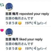 ヒメ日記 2025/05/27 07:36 投稿 進藤 シャトーペトラ