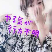 ヒメ日記 2025/05/28 09:33 投稿 進藤 シャトーペトラ