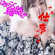 ヒメ日記 2025/05/28 10:03 投稿 進藤 シャトーペトラ