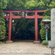 ヒメ日記 2025/05/29 14:23 投稿 進藤 シャトーペトラ