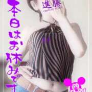 ヒメ日記 2025/06/05 08:28 投稿 進藤 シャトーペトラ