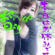 ヒメ日記 2025/06/07 06:41 投稿 進藤 シャトーペトラ