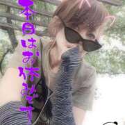 ヒメ日記 2025/06/12 07:04 投稿 進藤 シャトーペトラ