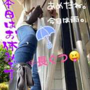 ヒメ日記 2025/06/14 07:53 投稿 進藤 シャトーペトラ