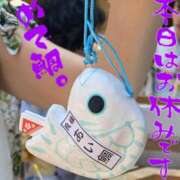 ヒメ日記 2025/06/23 07:38 投稿 進藤 シャトーペトラ